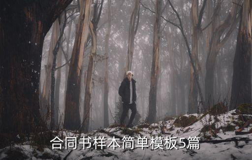 簡易合同書，簡易勞動合同