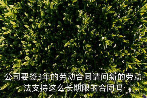 公司要簽3年的勞動合同請問新的勞動法支持這么長期限的合同嗎