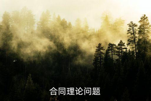 關(guān)系合同理論，合同理論問題