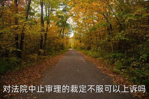 對(duì)法院中止審理的裁定不服可以上訴嗎