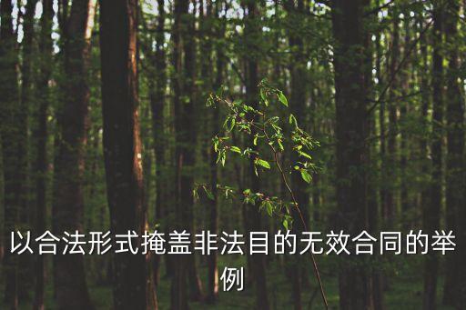 以合法形式掩蓋非法目的無效合同的舉例