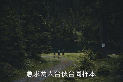 急求兩人合伙合同樣本