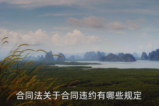 合同法關(guān)于合同違約有哪些規(guī)定