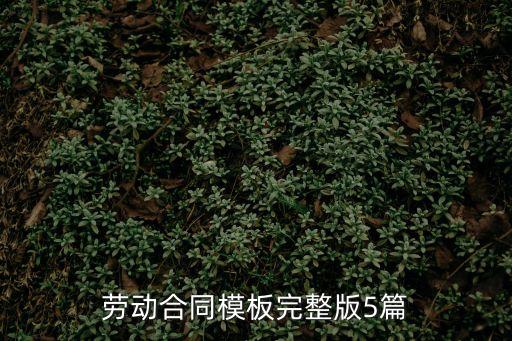 簽訂勞動(dòng)合同版本，勞動(dòng)合同模板完整版5篇