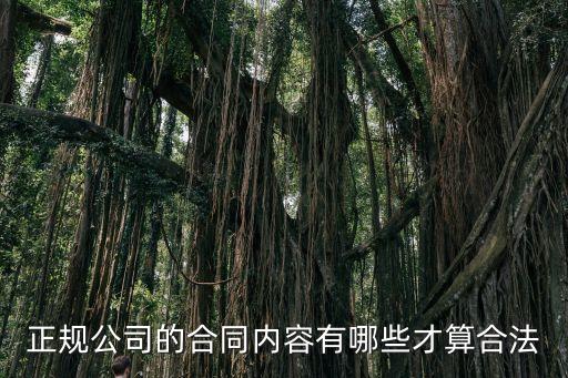 正規(guī)公司的合同內(nèi)容有哪些才算合法