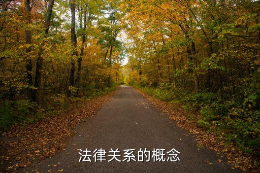 法律關(guān)系的概念起源于，法律關(guān)系的概念及要素