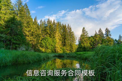 信息服務(wù)咨詢合同模板，信息咨詢服務(wù)合同模板