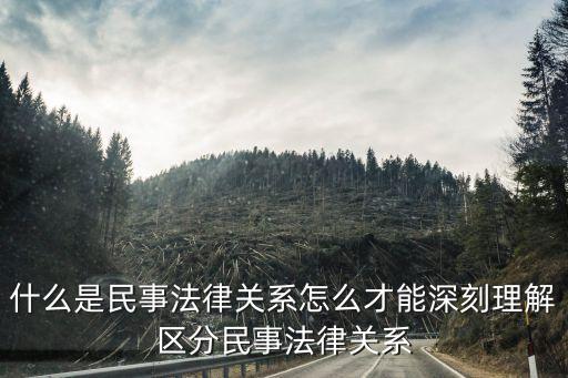 民事法律關(guān)系的概念，民事法律關(guān)系的概念