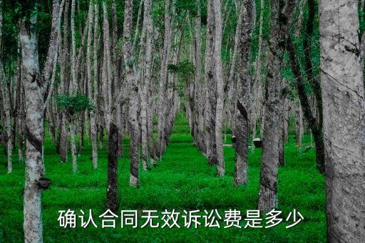 確認合同無效訴訟費收費標準，確認合同無效訴訟費是多少