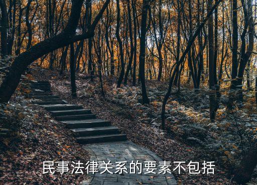 民事法律關(guān)系的要素不包括