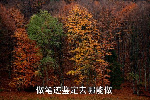 筆跡鑒定機構(gòu)，我想做筆跡鑒定不知哪里有機構(gòu)