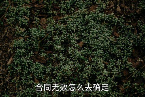 合同無效的確認程序，如何確認合同無效