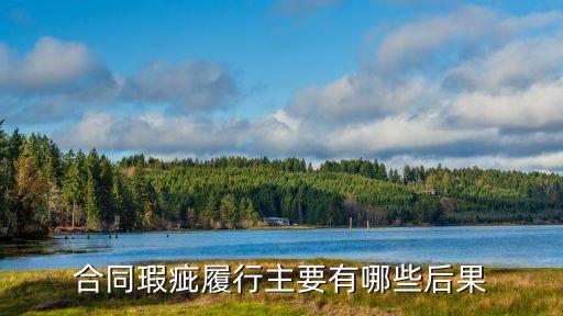 合同瑕疵履行主要有哪些后果