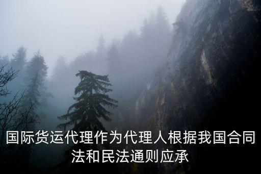 民法典關(guān)于貨運(yùn)合同，貨運(yùn)合同法律關(guān)系屬于什么關(guān)系