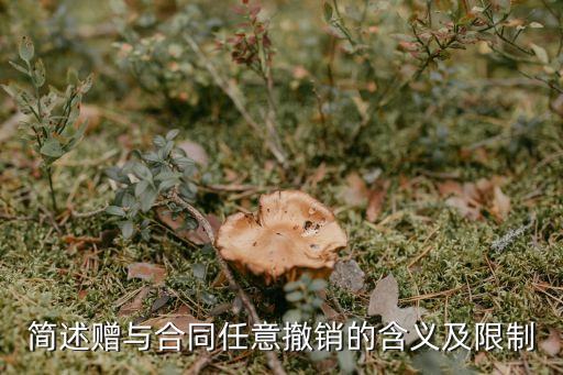 簡(jiǎn)述贈(zèng)與合同任意撤銷的含義及限制