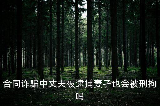 合同詐騙中丈夫被逮捕妻孑也會被刑拘嗎