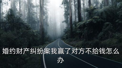 婚約財產(chǎn)糾紛案我贏了對方不給錢怎么辦