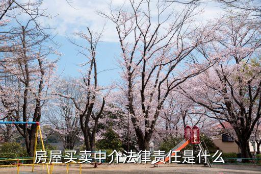 房屋買賣糾紛中介責(zé)任，房產(chǎn)中介的責(zé)任是什么