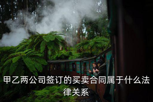 甲乙兩公司簽訂的買賣合同屬于什么法律關(guān)系