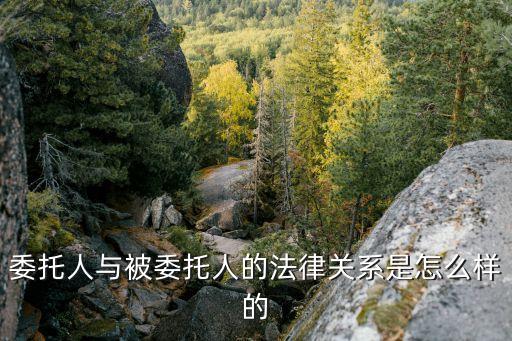委托人與被委托人的法律關(guān)系，關(guān)于委托人與被委托人