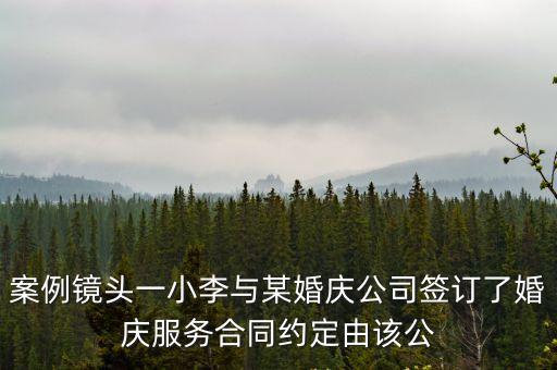 婚慶服務合同糾紛判決書，婚慶合同糾紛