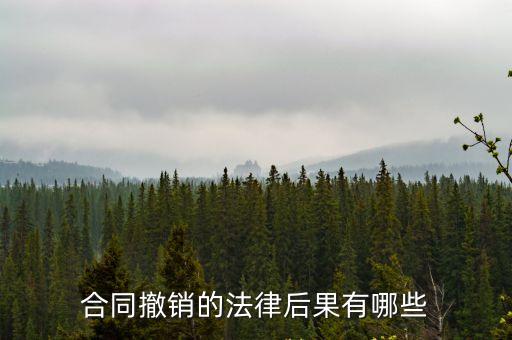 撤銷合同有哪些法律責任，合同撤銷承擔什么責任