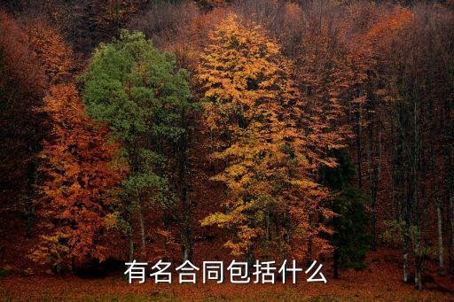 有名合同包括什么