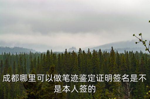 成都哪里可以做筆跡鑒定證明簽名是不是本人簽的