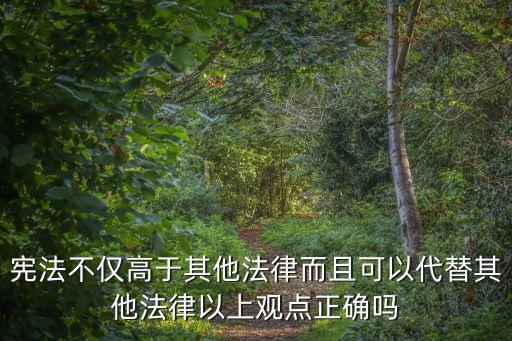 憲法不僅高于其他法律而且可以代替其他法律以上觀點(diǎn)正確嗎