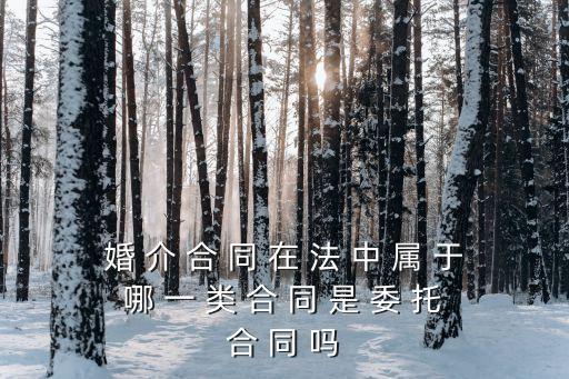 婚慶服務(wù)合同屬于什么合同，婚 介 合 同 在 法 中 屬 于 哪 一 類 合 同 是 委 托 合 同 嗎