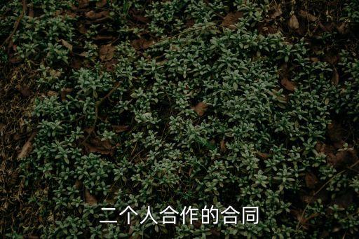 二個(gè)人合作的合同