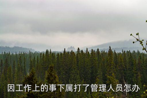 下屬動(dòng)手打領(lǐng)導(dǎo)怎么辦，員工出手打直屬上司應(yīng)追究什么法律責(zé)任