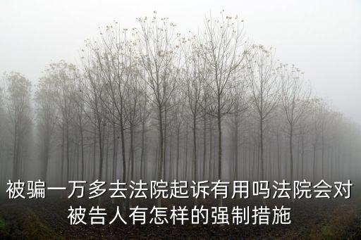 被騙一萬(wàn)多去法院起訴有用嗎法院會(huì)對(duì)被告人有怎樣的強(qiáng)制措施