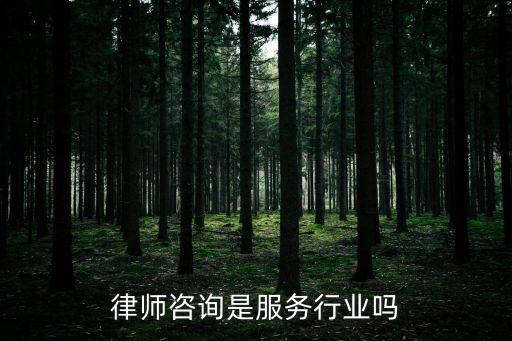 律師服務(wù)行業(yè)，律師咨詢是服務(wù)行業(yè)嗎