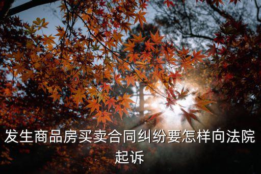 發(fā)生商品房買賣合同糾紛要怎樣向法院起訴