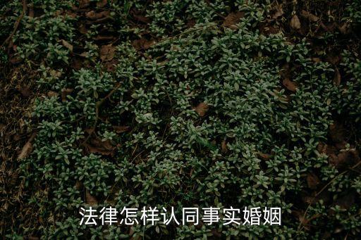 法律怎樣認(rèn)同事實婚姻
