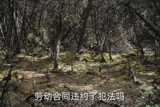 勞動(dòng)合同違約了犯法嗎
