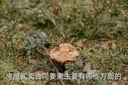 房屋買賣合同要素主要有哪些方面的