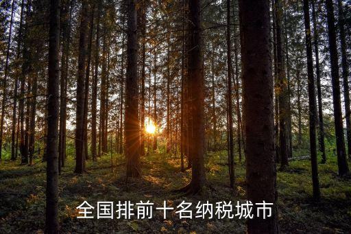 全國排前十名納稅城市