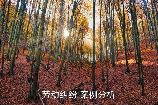 勞動糾紛 案例分析