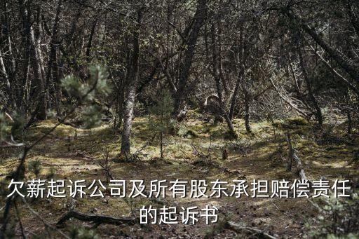 公司起訴公司的起訴狀范本，欠薪起訴公司及所有股東承擔(dān)賠償責(zé)任的起訴書