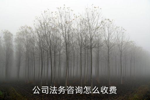 企業(yè)合同法律咨詢要多少錢，公司法律顧問收費標準一般多少錢