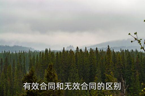 有效合同和無效合同的區(qū)別