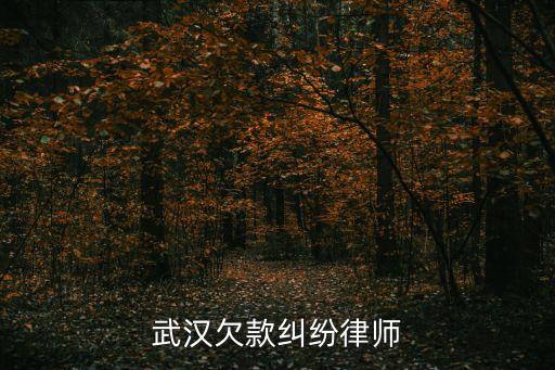 武漢欠款糾紛律師