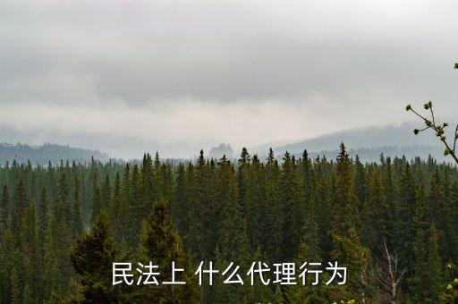 民法上 什么代理行為