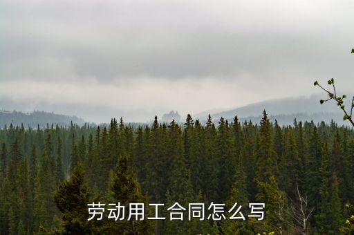 勞動(dòng)合同模板電子版2022年，工程勞務(wù)合同范本