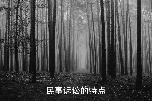 解決民事糾紛的方式的特點，民事糾紛的特點是什么
