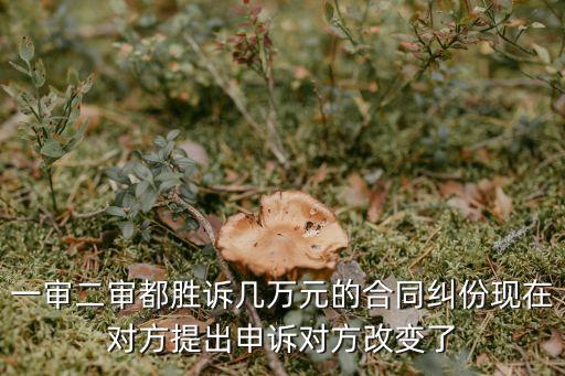 一審二審都勝訴幾萬元的合同糾份現(xiàn)在對方提出申訴對方改變了