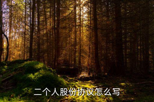 二個(gè)人股份協(xié)議怎么寫