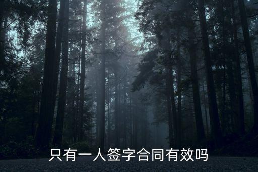 只有一人簽字合同有效嗎